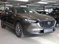 Gebraucht Mazda CX-30 Selection 116 PS (85 kW) 2020 Grau SUV