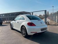 Usata VW Beetle 77 CV (56 kW) 2014 Bianco Utilitaria