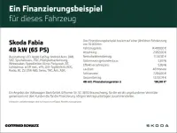 Brugt Skoda Fabia Active 65 HK (47 kW) 2023 Grå Hatchback