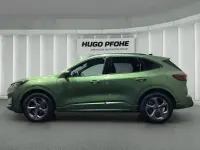Gebraucht Ford Kuga ST-Line X 186 PS (136 kW) 2024 Bursting green SUV