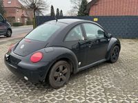 gebraucht VW Beetle NewLim. 1.6