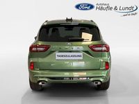 Gebraucht Ford Kuga ST-Line X 150 PS (110 kW) 2024 Bursting green SUV