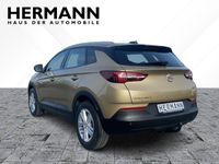 gebraucht Opel Grandland X 1.2 Turbo Edition *LED*FLA*LM*2xKlima