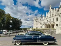 Gebraucht Cadillac Fleetwood 205 PS (150 kW) 1953 Blau Limousine