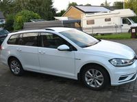 Gebraucht VW Golf VII Comfortline 131 PS (96 kW) 2019 Weiß Kombi