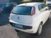 Brugt Fiat Punto 2011 Hvid Hatchback