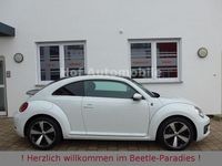 Gebraucht VW Beetle Sound 150 PS (110 kW) 2017 Weiß Kleinwagen