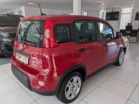 Gebraucht Fiat Panda 69 PS (50 kW) 2024 Rot Kleinwagen