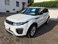 Gebraucht Land Rover Range Rover evoque SE Dynamic 150 PS (110 kW) 2017 Weiß SUV