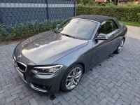 Używany BMW 220 Advantage 184 KM (135 kW) 2016 Szary Kabriolet