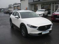 gebraucht Mazda CX-30 Selection 2WD