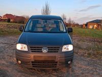Second-hand VW Caddy 102 CP (75 kW) 2009 Gri Monovolum
