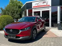 Gebraucht Mazda CX-30 Selection 179 PS (131 kW) 2021 Rot SUV