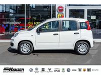 Gebraucht Fiat Panda 69 PS (50 kW) 2025 Weiß Limousine