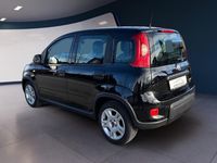 Gebraucht Fiat Panda 69 PS (50 kW) 2024 Schwarz Kleinwagen