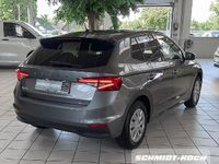 Gebraucht Skoda Fabia Selection 80 PS (58 kW) 2024 Grau Kleinwagen