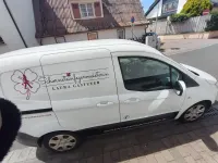 Gebraucht Ford Transit 95 PS (69 kW) 2017 Van / Kleinbus