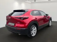 Gebraucht Mazda CX-30 Homura-Line 186 PS (136 kW) 2023 Rot SUV