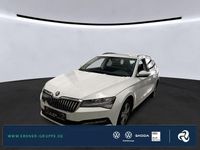Gebraucht Skoda Superb Ambition 150 PS (110 kW) 2024 Moonweiss metallic Kombi