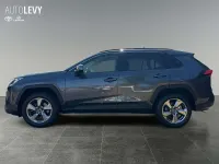Gebraucht Toyota RAV4 Club 175 PS (128 kW) 2019 Grau SUV