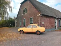 Gebraucht Ford Escort 1974 Kleinwagen