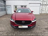 Gebraucht Mazda CX-30 2020 Rot SUV