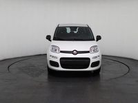 Neu Fiat Panda 69 PS (50 kW) 2025 Weiß, weiß uni Kleinwagen