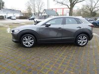 Gebraucht Mazda CX-30 Selection 179 PS (131 kW) 2021 Grau SUV