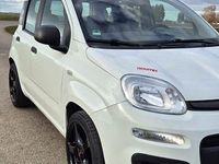 Gebraucht Fiat Panda Easy 69 PS (50 kW) 2014 Weiß Kleinwagen