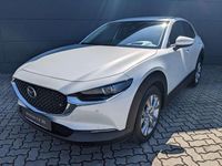 Neu Mazda CX-30 Exclusive 186 PS (136 kW) 2026 Ceramic white metallic SUV