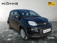 Gebraucht Fiat Panda 69 PS (50 kW) 2024 Schwarz Limousine
