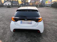Gebraucht Mazda 2 116 PS (85 kW) 2023 Weiß Kleinwagen