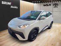 Neu BYD Dolphin Surf Boost 64 kW (88 PS) 2026 Acricity white Kleinwagen