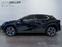 gebraucht Lexus UX 250h Executive Line *Pano*HUD*LED*SHZ*ALU*