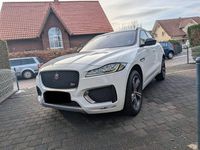 Gebraucht Jaguar F-Pace 300 PS (220 kW) 2019 Weiß SUV