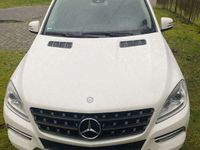 gebraucht Mercedes ML250 BlueTEC 4MATIC 7G-TRONIC