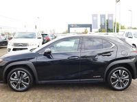 Gebraucht Lexus UX 184 PS (135 kW) 2022 SUV
