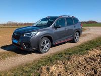 Gebraucht Subaru Forester Sport 150 PS (110 kW) 2022 Grau SUV