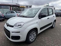 Neu Fiat Panda 69 PS (50 kW) 2025 Gelato weiss Kleinwagen