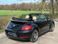 gebraucht VW Beetle Cabriolet 50´s Design PDC Leder