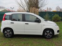 gebraucht Fiat Panda Pop "1.Hand von älterer Dame"