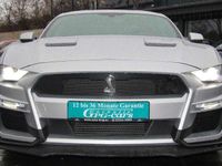 gebraucht Ford Mustang 2.3 2019 Shelby|10Gang|Voll|SHZ|RFK|PDC