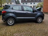 Gebraucht Ford Ecosport Sport 125 PS (91 kW) 2017 Grau SUV