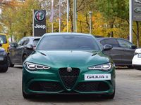 Neu Alfa Romeo Giulia Quadrifoglio 519 PS (381 kW) 2025 Grün Limousine
