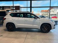 Neu Cupra Ateca VZ 300 PS (220 kW) 2026 Weiß SUV