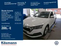 Gebraucht Skoda Octavia Style 116 PS (85 kW) 2024 Weiß Kombi
