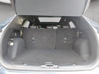 Gebraucht Ford Kuga ST-Line X 150 PS (110 kW) 2023 Blau SUV