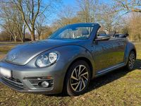 Gebraucht VW Beetle Sound 105 PS (77 kW) 2017 Grau Kleinwagen