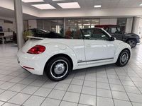 Gebraucht VW Beetle Cup 105 PS (77 kW) 2014 Weiß Kleinwagen