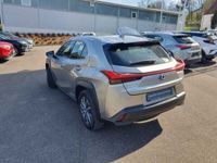 gebraucht Lexus UX Executive Leder/Kamera/PDC